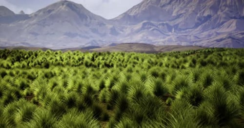 Lush Green Grassland with Mountains in the Background During Daylight