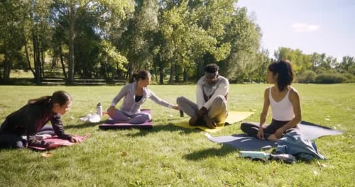 Friends Practicing Yoga in Sunny Autumn Park 2024 Years