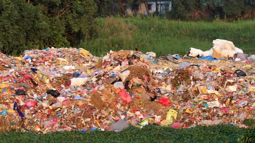 Massive Garbage Pile Overflows into Green Environment