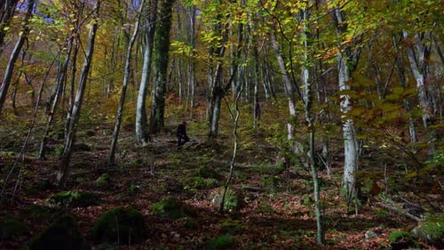 Active man hiking through the forest path covered with colorful fallen leaves