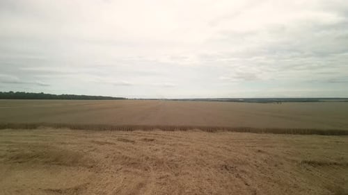 Wheat field aerial view in Ukraine