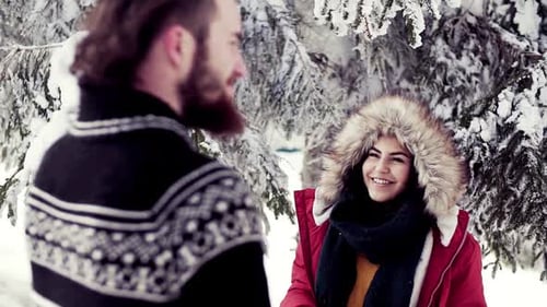 Winter Forest Couple Conversation Ambiance