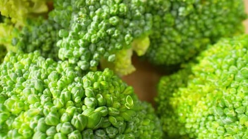 Fresh Green Broccoli Close-up Zoom