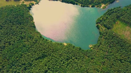 Aerial view of wild forest lake in summer. Small blue lake in green pine tree forest in rural