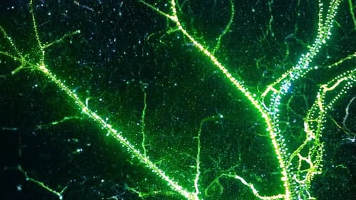 A Microscopic View Showing the Intricate Neural Pathways Displayed in Fluorescent Green