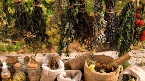 Dried Herbs and Flowers Alternative Medicine and Medicinal Tea Selective Focus