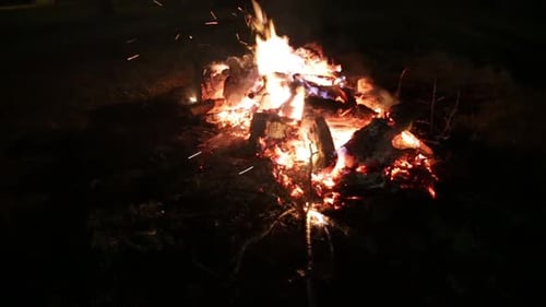camp fire in the woods