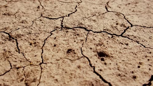 Cracked Earth in Arid, Dry Landscape