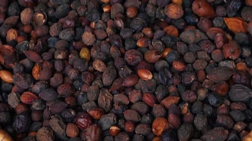 Nueces de argán en diferentes formas y colores