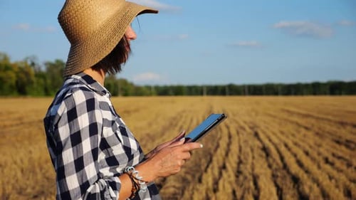 Adult Farmer Using Digital Tablet at Wheat Meadow on Sunny Day Female Agronomist Monitoring Harvest