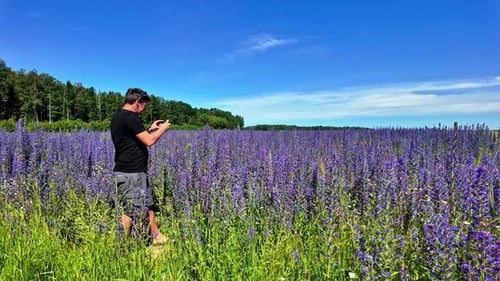 Man is making photos and videos of a field with purple flowers, slowmotion