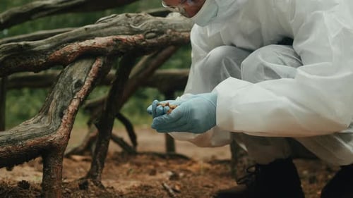 Taking Probe of Soil in Forest Geologist Man Worker Taking Measurements of Soil Probe By Scientific