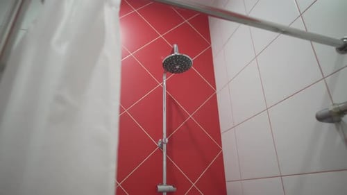 Clean White and Red Tiled Bathroom with Shower