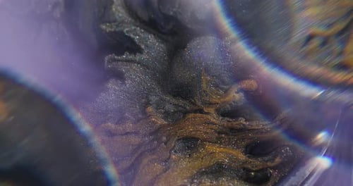 Abstract Shiny Gold and Black Liquid Paint Swirls