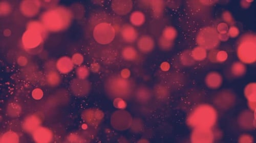 Red Bokeh Particles Animation Loop
