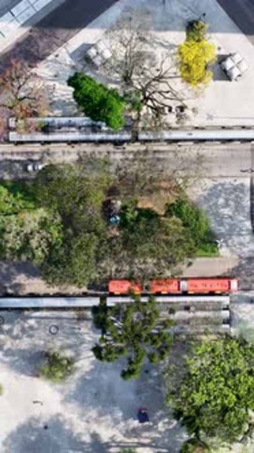 Rui Barbosa Square At Curitiba In Parana Brazil. Capital City Of South Region.