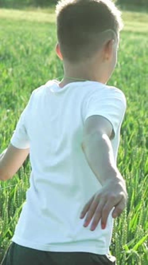 Happy boy running in green wheat field. Slow motion. Vertical video