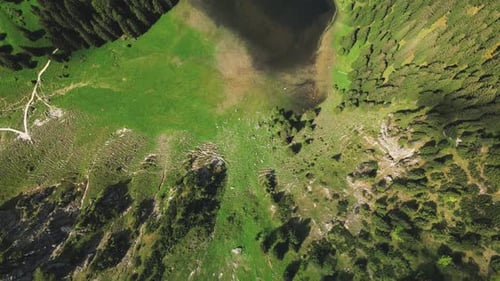 Un pequeño lago forestal