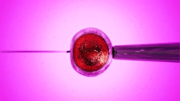 3D Animation: Cell Microinjection and Fertilization Process ...