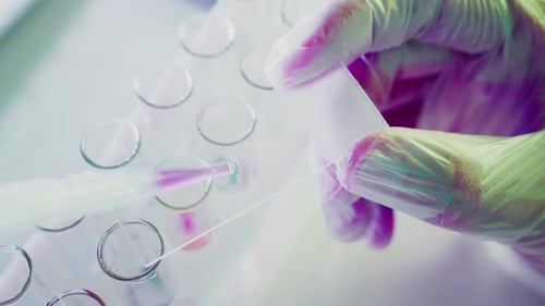 Lab Technician Filling Test Tubes with Pipette