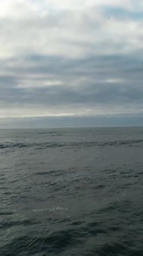 Vertical Video of Sea and Waves at Storm Day