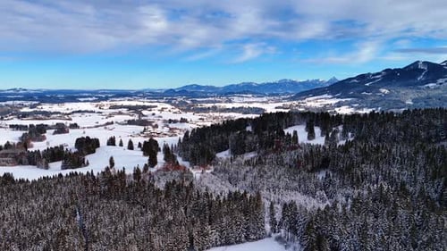 Snowy Forest Landscape Aerial View in Winter