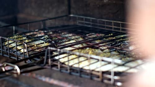 Blackfish (Galjoen) sizzling in grid on open fire. Side view rack focus