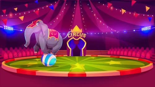Circus