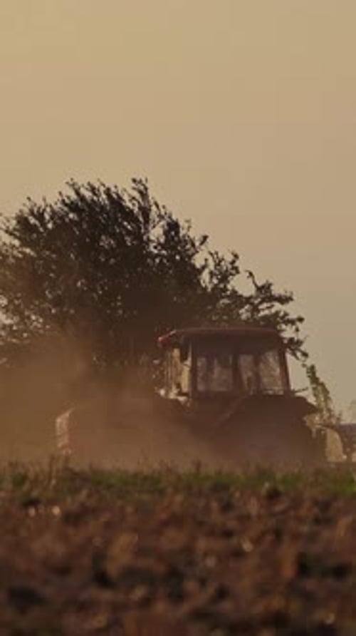 Traktor arbeitet am Abend auf dem Feld. Landwirtschaftliche Arbeiten auf dem natürlichen Hintergrund
