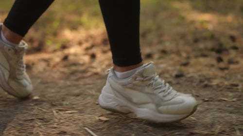 Running Shoes on a Trail Surrounded By Natural Light Capturing the Essence of Adventure