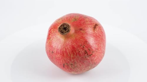 Pomegranate Isolated.