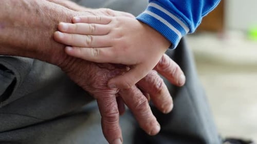 Little Hand Holding an Elderly Hand with Wrinkles