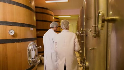 Vigneron professionnel contrôlant le processus de fabrication et la qualité du vin dans une usine vinicole