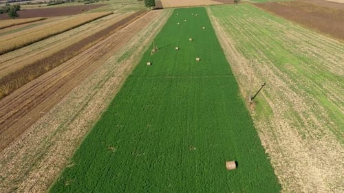 Aerial View of Agricultural Fields by Drone
