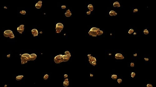 Gold Skull Loop 3d Animation
