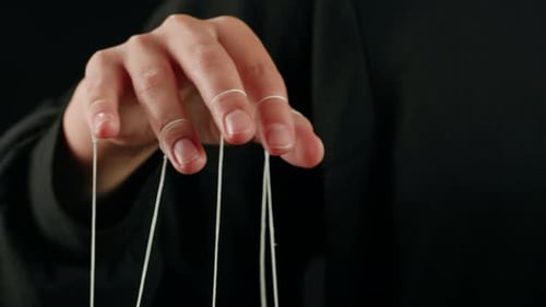 The Puppeteer Controls the Puppets in the Theater Managing People at Work in Politics and Government