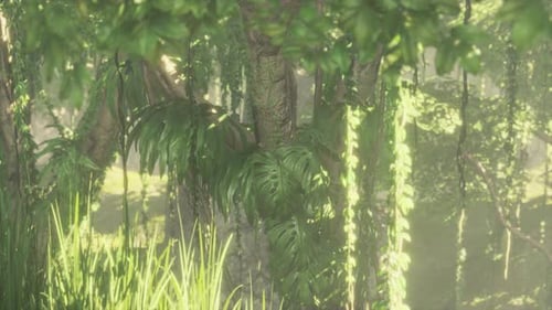 Tropical Jungles of Southeast Asia in August