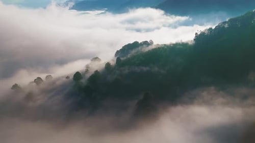 Aerial View of Forested Mountains Covered by Moving Sea of Clouds