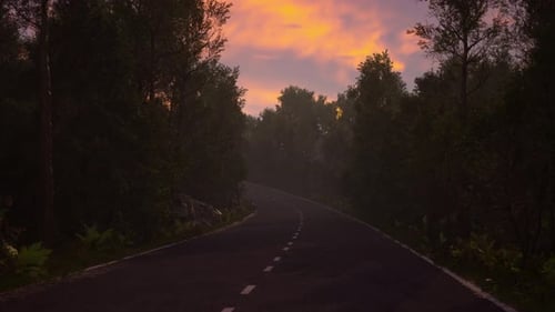 Serene Forest Road at Sunset with Vibrant Sky