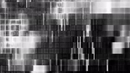 Vivid Black And White Mosaic Wall Loop