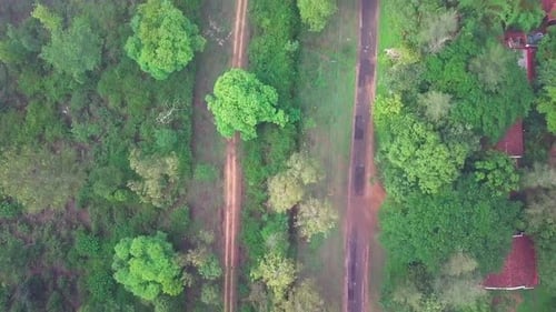Lush nagarahole forest with dense green tree cover and misty fog creating a serene atmosphere