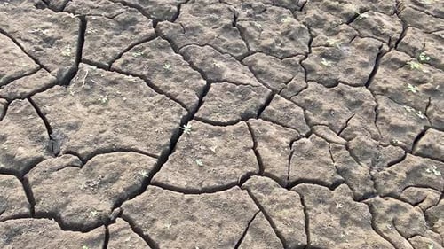 Close up of dry cracked soil dirt during drought, dry earth, desertification
