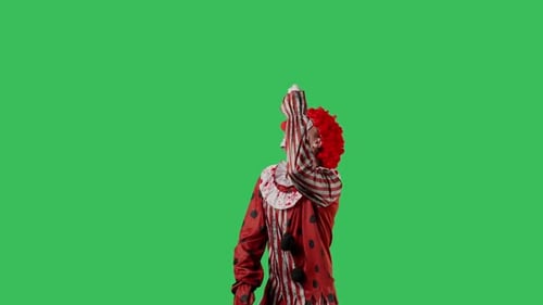 Funny Clown on Green Screen Chroma Key