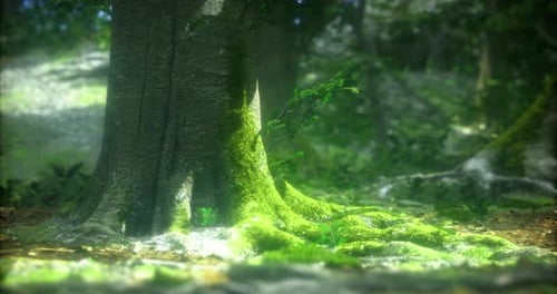 Moss Covered Tree Trunk in a Serene Forest Setting During Daylight
