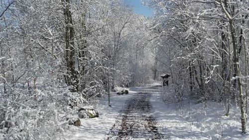 Snow Covered Hiking Trail During Winter. Forest Trees Frozen With Ice.