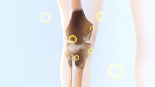 Animated Human Knee Joint with Medical Particle Interaction