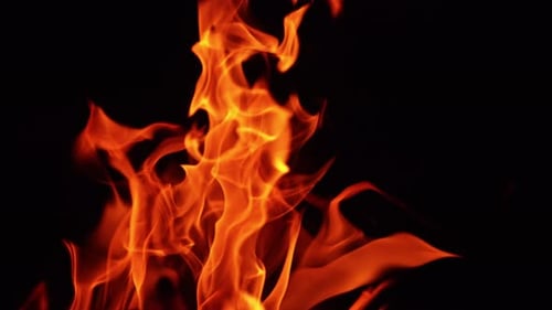 Bright flame rising up in the darkness. Tongues of bonfire moving in the wind at night. Close up.