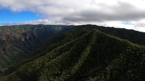 Aerial View of Rolling Hills and Green Landscape in Kauai Hawaii