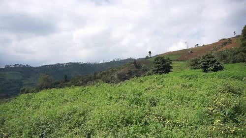 beautiful mountain natural scenery natural panorama of hills, with forest of tall green trees