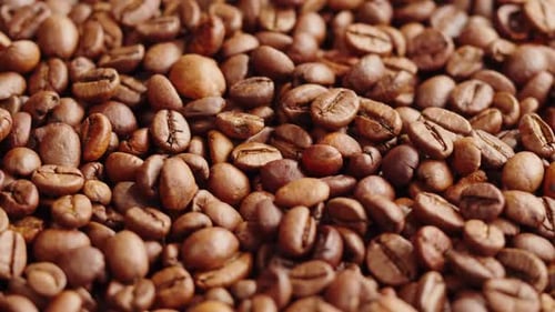 Roasting Coffee Beans with Smoke on Dark Background Close Up Arabica Robusta Colombian Beans